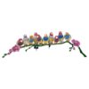 Crystal Myriad Gouldian Finches Crystal Myriad Gouldian Finches