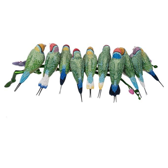 Crystal Myriad Gouldian Finches Crystal Myriad Gouldian Finches