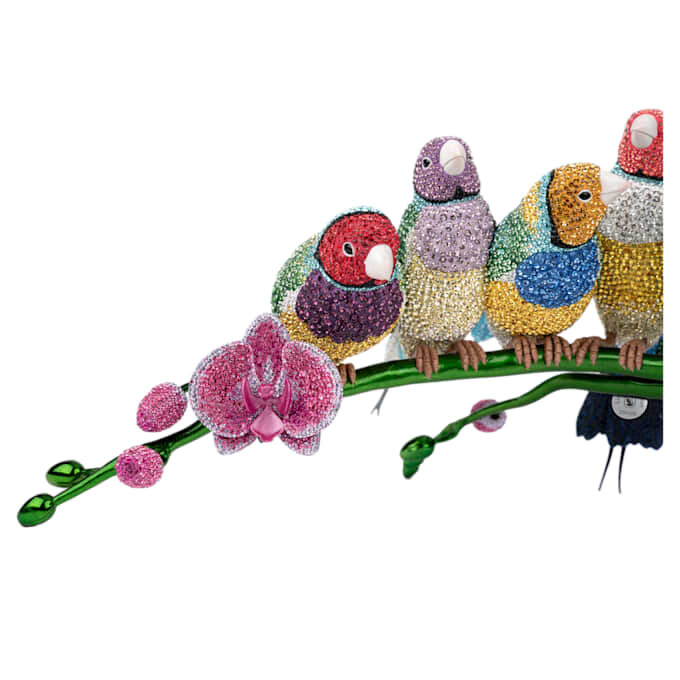 Crystal Myriad Gouldian Finches Crystal Myriad Gouldian Finches