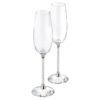 Crystalline champagneglazen (set van 2) Crystalline champagneglazen (set van 2)