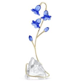 Florere Blauwe Klokjesbloem
