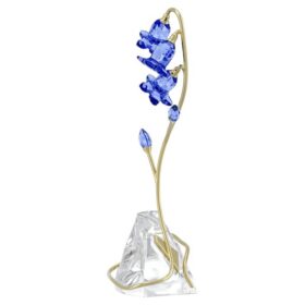 Florere Blauwe Klokjesbloem