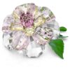 Florere Camellia Florere Camellia
