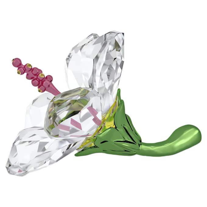 Florere Hibiscus Small Florere Hibiscus Small
