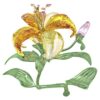 Florere Lily Large Florere Lily Large