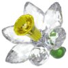 Florere-narcis Florere-narcis