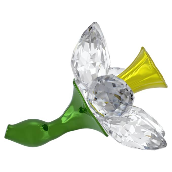 Florere-narcis Florere-narcis