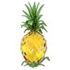 Idyllia Ananas Idyllia Ananas