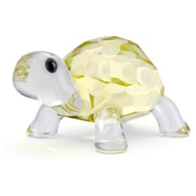 Idyllia Baby-schildpad