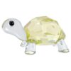 Idyllia Baby-schildpad Idyllia Baby-schildpad