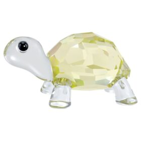 Idyllia Baby-schildpad