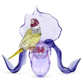 Idyllia Gouldvink en orchidee