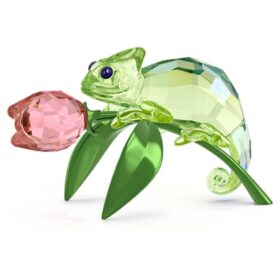 Idyllia Kameleon en Tulp