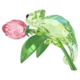 Idyllia Kameleon en Tulp