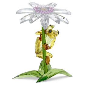 Idyllia Kikkers en bloemen