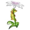 Idyllia Kikkers en bloemen