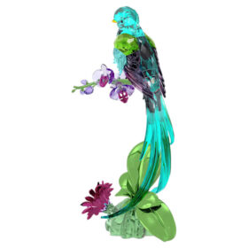 Idyllia Quetzal en Orchidee