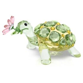 Idyllia Schildpad en Madeliefje