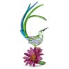 Idyllia-suikervogel en cactusbloem