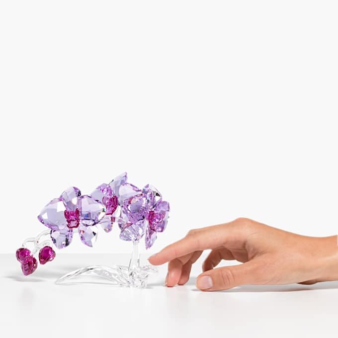 Kristallen bloemen: orchidee Kristallen bloemen: orchidee
