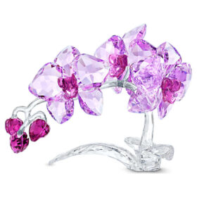 Kristallen bloemen: orchidee Kristallen bloemen: orchidee