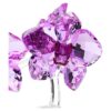 Kristallen bloemen: orchidee Kristallen bloemen: orchidee