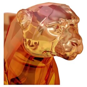 Limited Edition: de cheeta