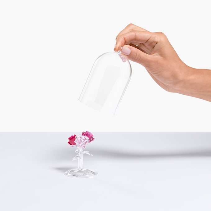 Rozenboeket Rozenboeket